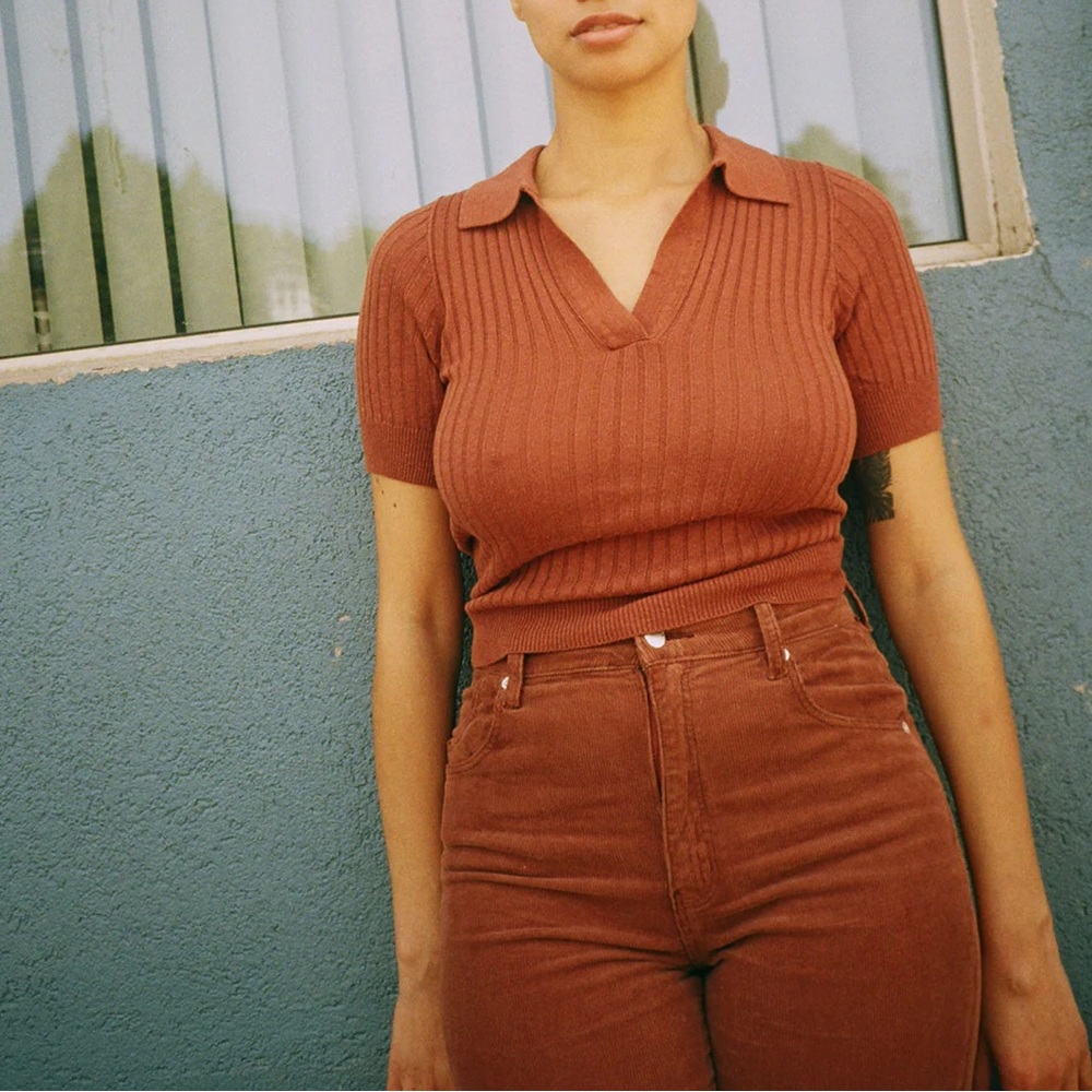 ROLLA'S Rust Ribbed Short-Sleeve Polo Top - Picture 4 of 10